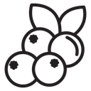 Cranberry icon
