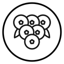 Cranberry icon