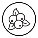 Cranberry icon