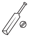 Cricket bat and ball icon