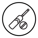 Cricket Bat ball icon