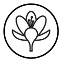 Crocus icon