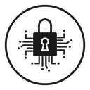 Cyber security 2 icon