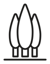 Cypress tree icon