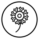 Dandelion icon