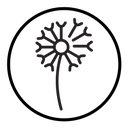 Dandelion icon