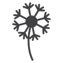Dandelion icon