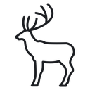 Deer 3 icon