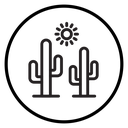 Desert cactus icon