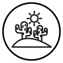 Desert cactus icon