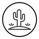 Desert cactus icon