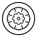 Dianthus icon