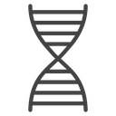 DNA Double Helix Black Outline icon