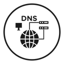 DNS icon