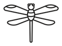 Dragonfly icon