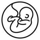 Embryo Child icon