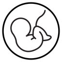 Embryo Child icon