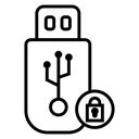 Encrypted pendrive icon