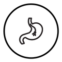 Endoscopy icon