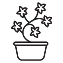 English ivy icon