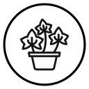 English ivy Black Outline icon