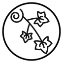 English ivy icon