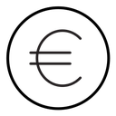 Euro icon