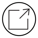 External link icon