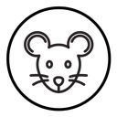 Face of mouse icon