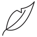 Feather icon