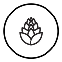 Fir cone icon