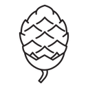 Fir cone icon