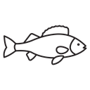 Fish icon