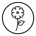 Flower icon
