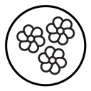 Flower icon