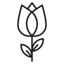 Flower tulip 3 icon