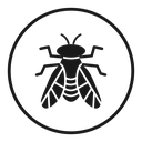 Fly insect icon