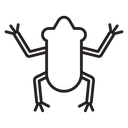 Frog icon