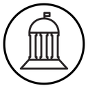 Government icon