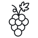 Grape 3 icon