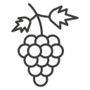 Grape 4 icon