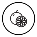 Grapefruit icon