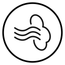 Gust icon