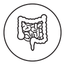 Gut icon