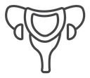 Gynecology icon