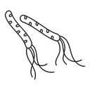H. pylori bacteria icon