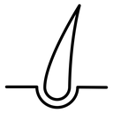 Hair Follicle Root icon