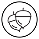 Hazelnut icon