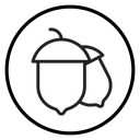 Hazelnut icon