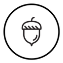 Hazelnut icon